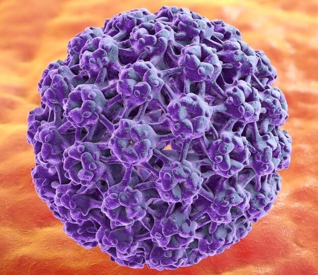 مدل سه بعدی HPV که باعث ایجاد زگیل روی دست می شود